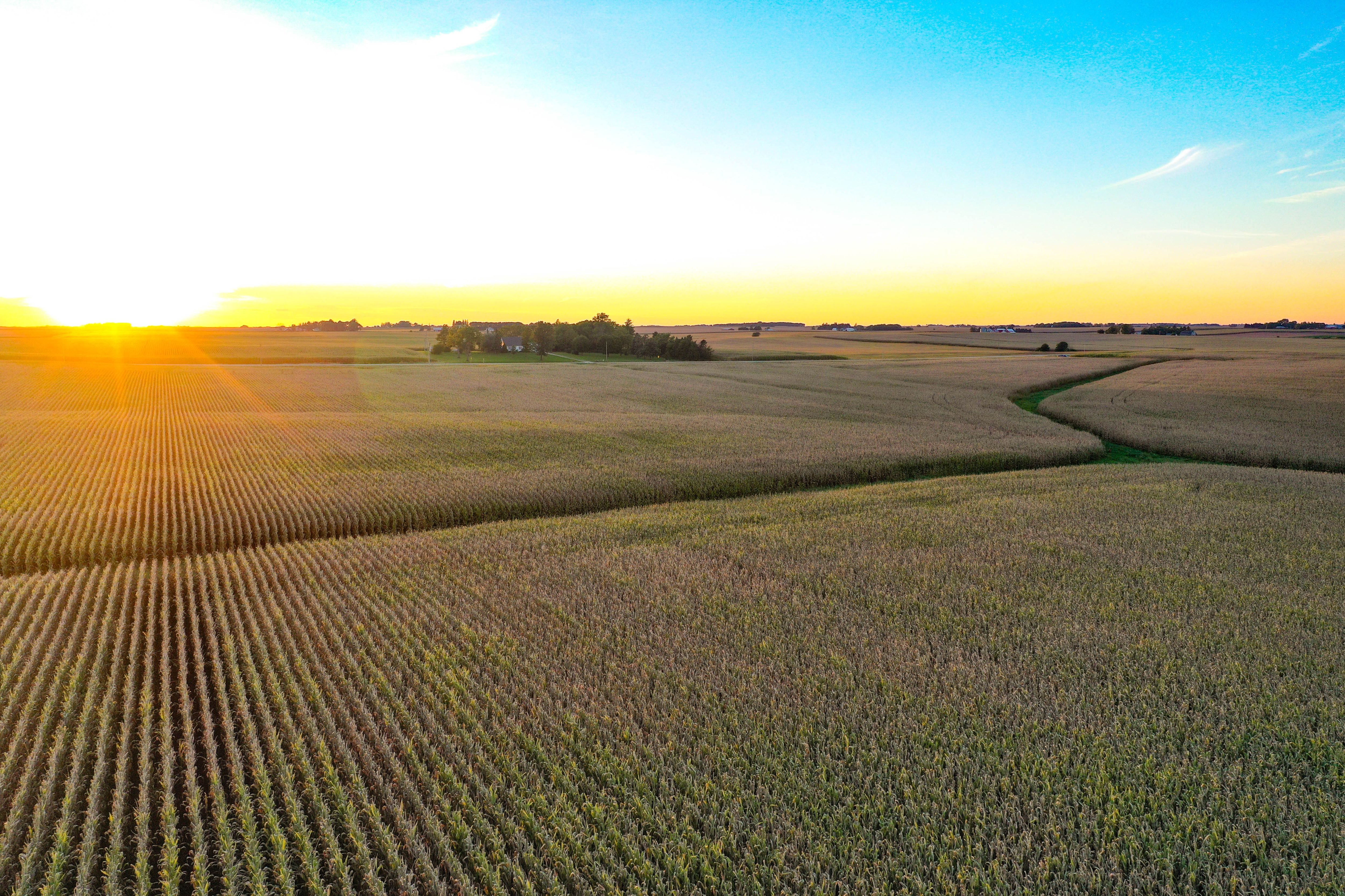 Listing Photo: 29-Northern Iowa Farmland Auction